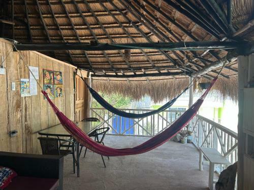 Punta Arena Ecohostal And Ecofit ? Your Eco-friendly Oasis
