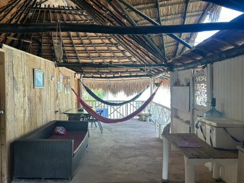 Punta Arena Ecohostal And Ecofit ? Your Eco-friendly Oasis