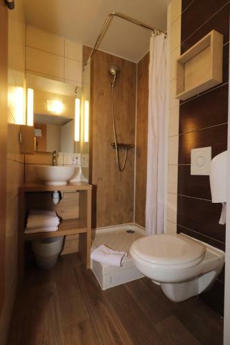 Hotel Arena Clermont-ferrand