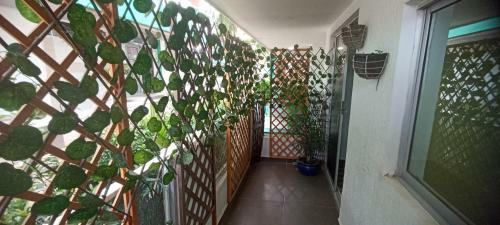 Aparthotel Hotel Boquilla Del Mar