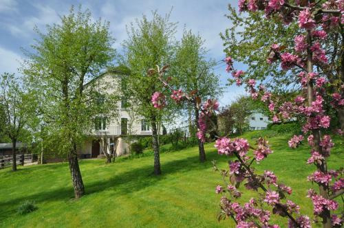 B&B Le Verger Du Pierroy