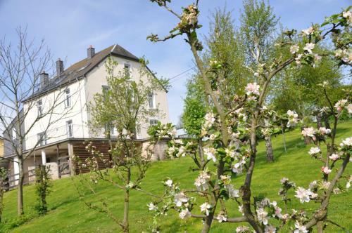 B&B Le Verger Du Pierroy