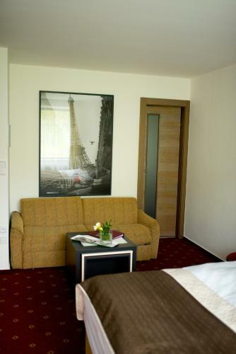 Hotel Penzion Zubr