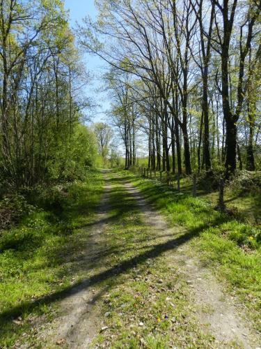 B&B Le Bois De Champia
