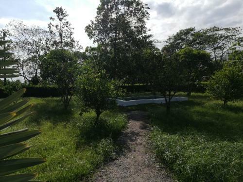 Casa Campestre Con Piscina Jacuzzi Y Golfito