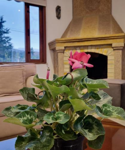 Apartamento El Bosque De La Villa Loft
