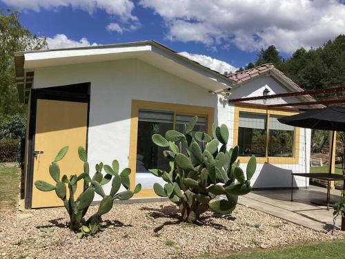 Villa Casa De Los Olivos!