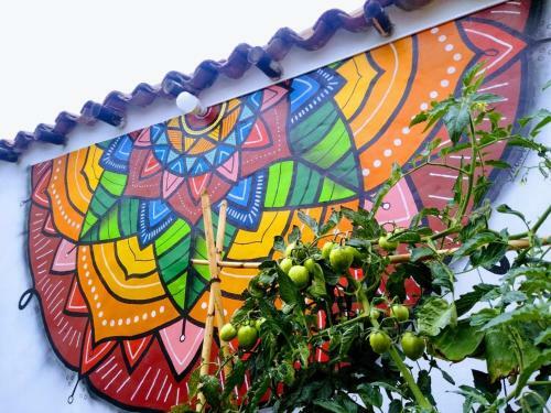 Hostal Villa Chie-plaza Principal