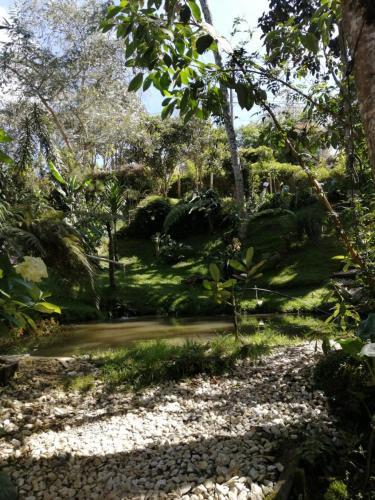Apartamento El Bosque De Las Hadas II (caba�a Magic House)
