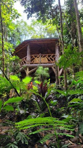 Lodge Eco Hotel Rio De Oro