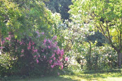 Hostal Le Pavillon Vert - G�tes
