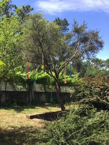 Bed & Breakfast Agro Da Gandarela