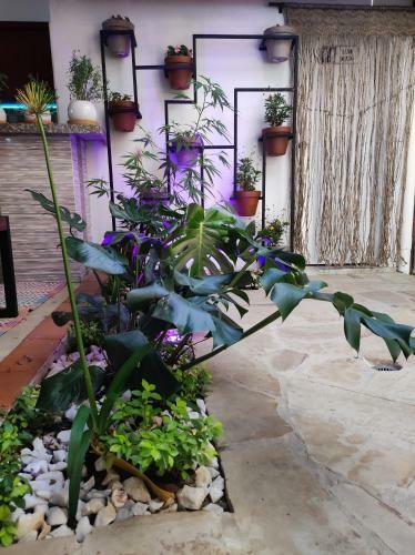 Hostal Casablanca