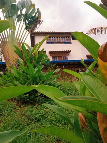 Apartamento Campestre Con Piscina Villa Lucy