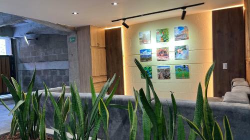 Oasis Apartamentos Tur�sticos, San Jer�nimo