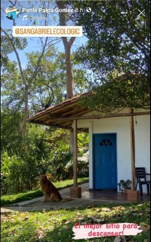 San Gabriel Ecologic