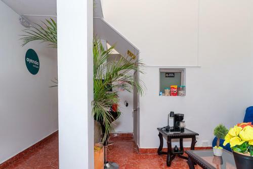 Hotel Mazal Rionegro