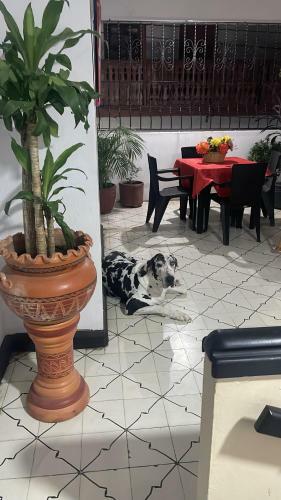 La Casa De Las Florez