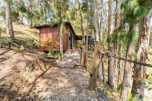Manoah - Cabin In The Woods