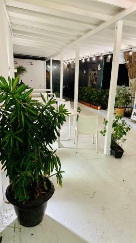 Dihouse Apartment - Habitacion Privada