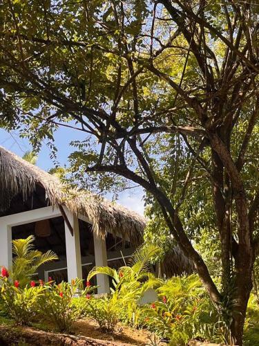 Villa Awesome Private Design House In Palomino