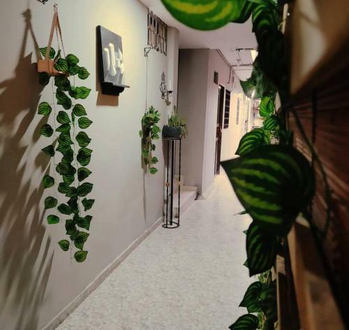 Apartamento Habitaci�n Independiente Cerca Al Centro