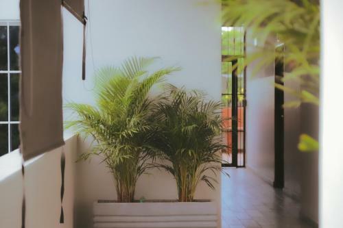 Casamar Hostel