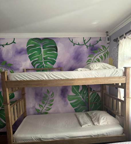 Hostal Casa Macondo