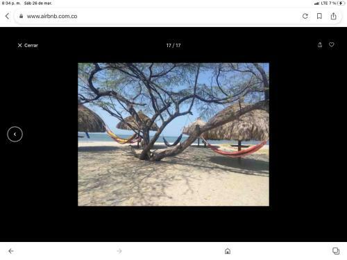 Apartamento Areia Beach Paradaise