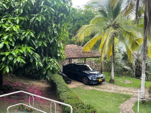 Las Palmeras Casa En Melgar