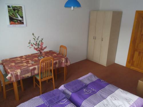 Hostal Penzion Apartm�ny Zl�n