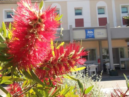 Hotel Ibis Budget Frejus Capitou A8