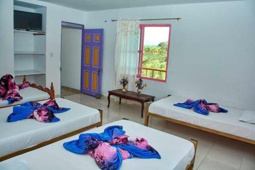 Agroturismo Finca Villa Valentina