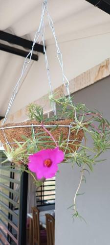 Casa Pancha Mariquita