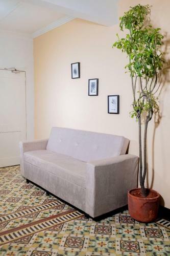 Apartamentos Estilo Republicano - Centro Hist�rico