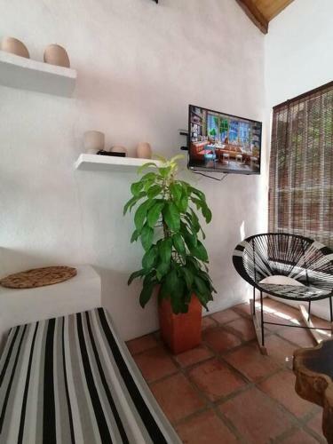 Casa De Las Palmas