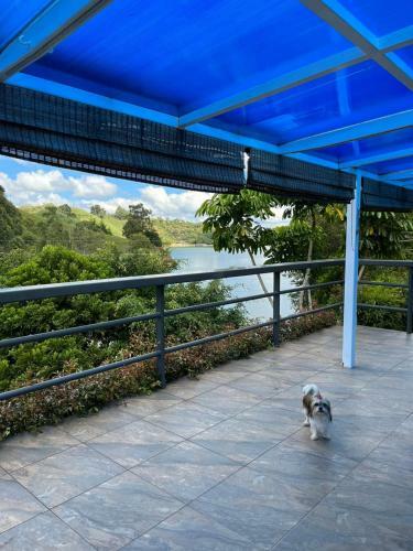 Finca Las 3 Marias