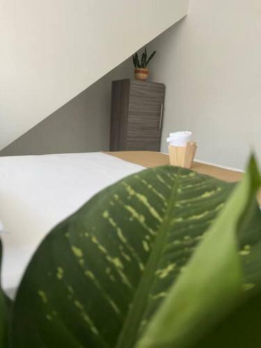 Apartamento Villa Amore Town