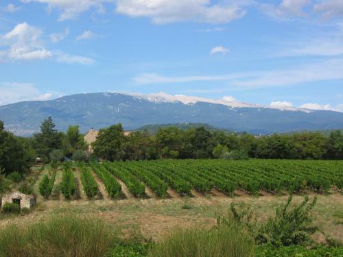 Escapades En Ventoux
