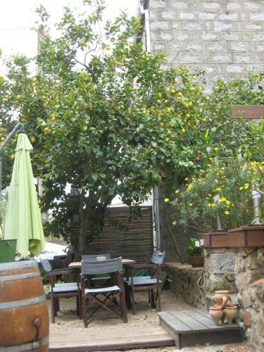 Bed & Breakfast Belle Terre