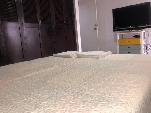 Apartamento C�modo , C�ntrico Y Bien Ubicado 302