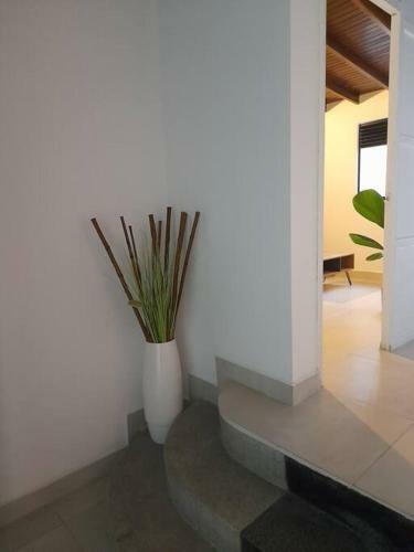 Apartamento Tribu Medellin House