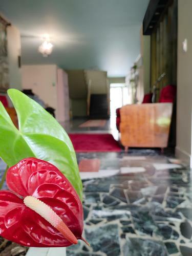 Duo Boutique Hotel
