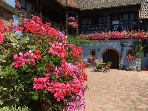 Hotel Kieffer