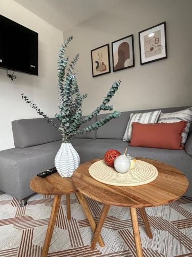 Apartamento Virginia 3b
