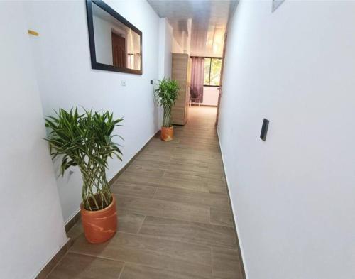 Apartamento Edificio Floresta Apto 401