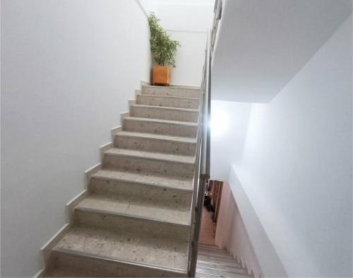 Apartamento Edificio Floresta Apto 401