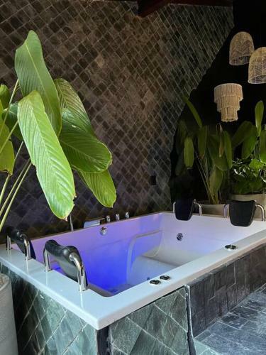Apartamento Poblado Park Manila