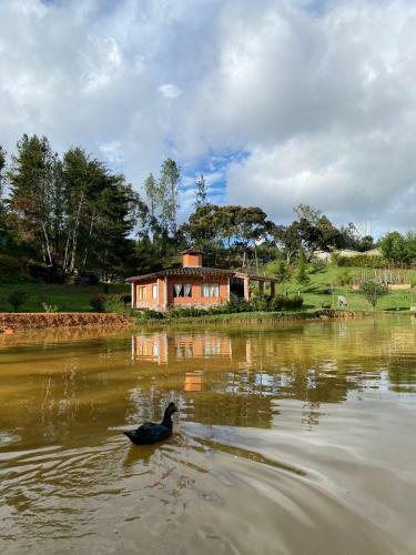 Lodge El Lago Hotel