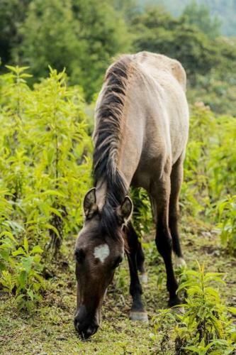 Finca Campestre En Guarne
